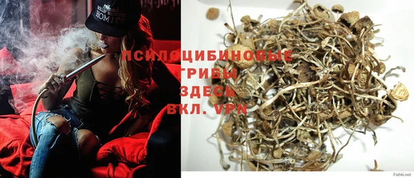 PSILOCYBIN Дмитровск