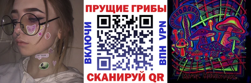 Псилоцибиновые грибы прущие грибы  Купить где  Куртамыш 